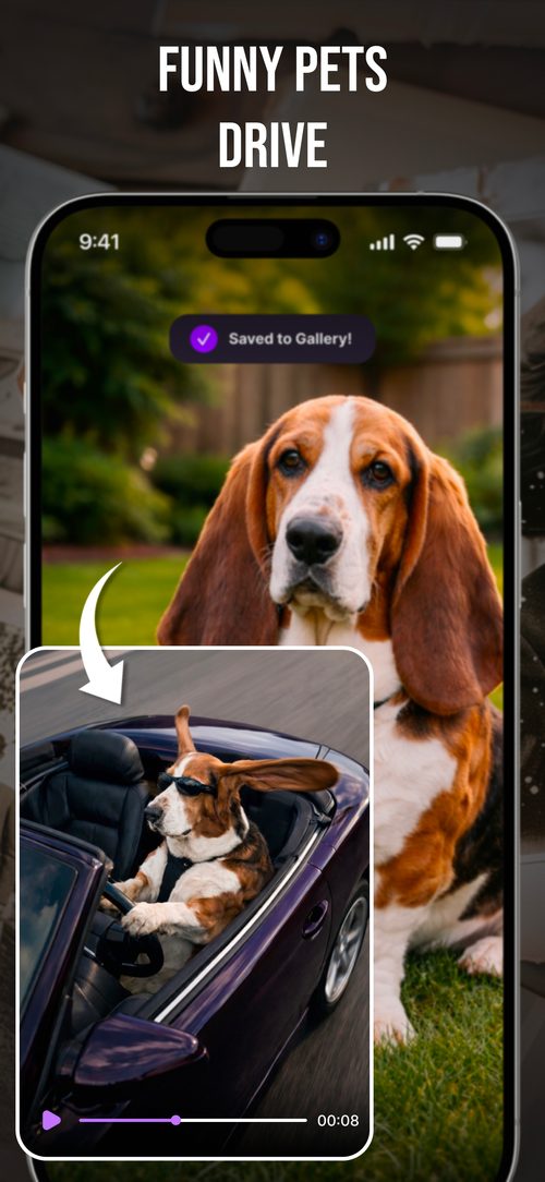 Funny Pets Drive effect in the Live Photo app